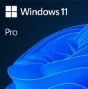Windows_11_Pro_ESD